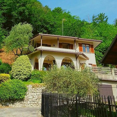 Le Grigne Guest House Oliveto Lario ภายนอก รูปภาพ