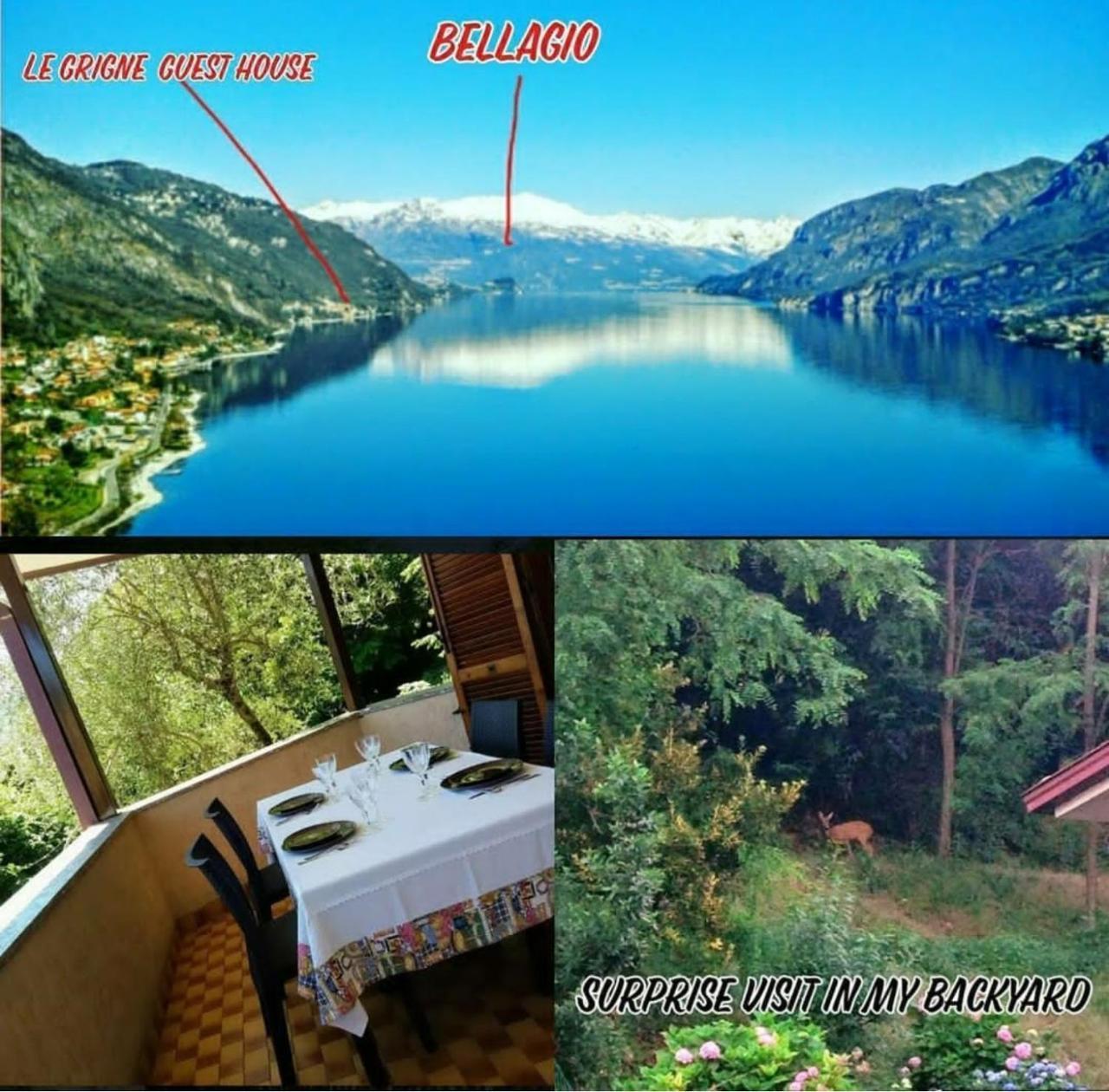 Le Grigne Guest House Oliveto Lario ภายนอก รูปภาพ